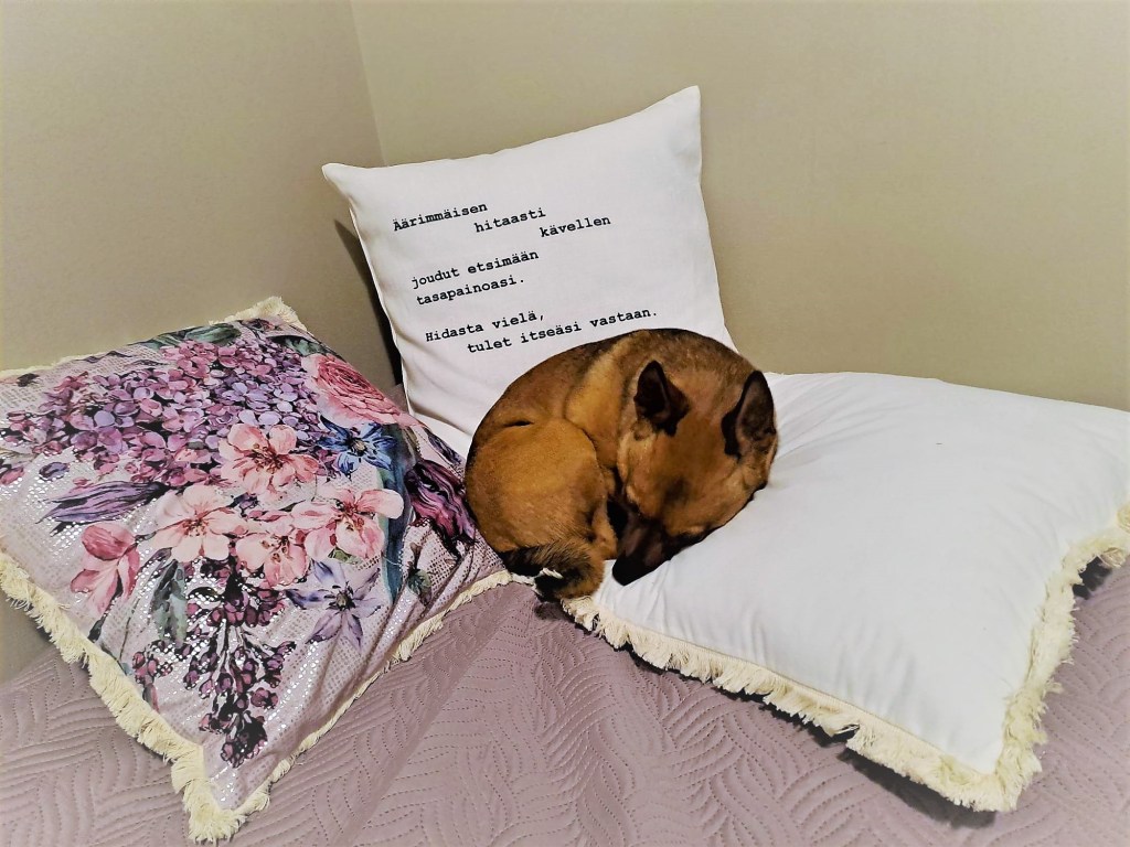 ”Kuin koiran unessa pitämiä&nbsp;ääniä”