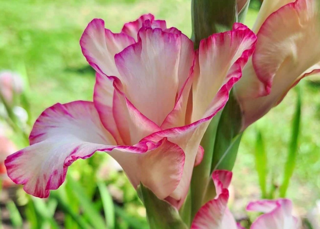 Voimaa omasta äänestä -työpaja Nousiaisissa&nbsp;24.9.23