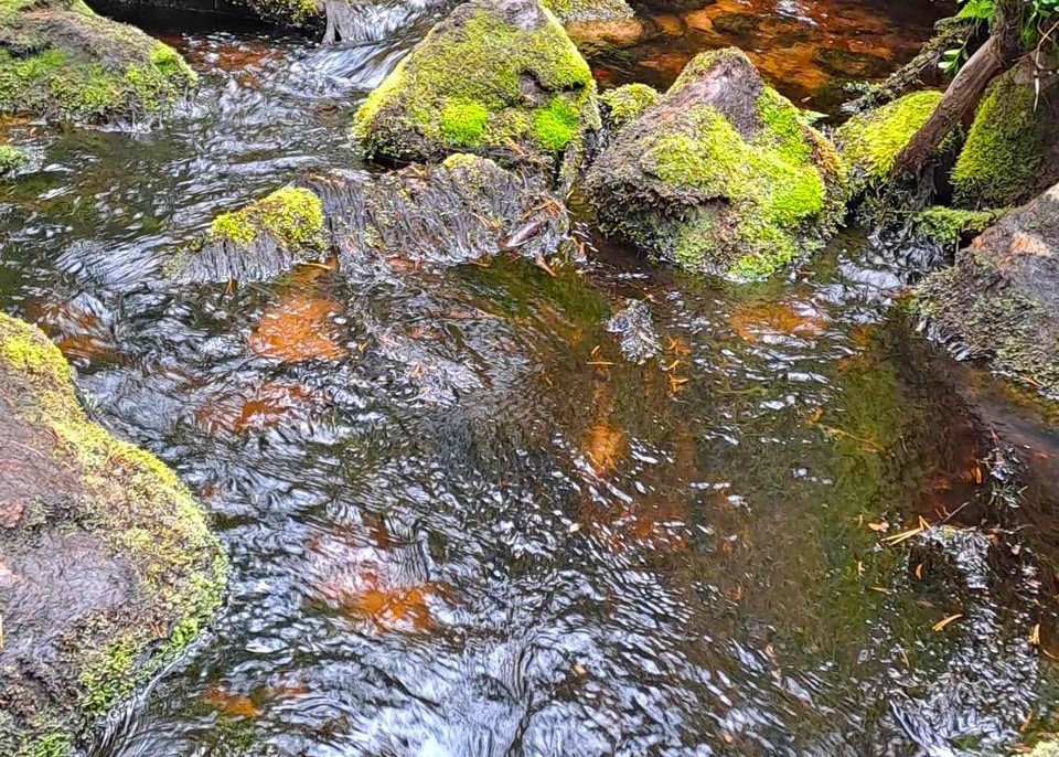 Varaa paikkasi muutokseen: Voimanaisen eheyttävä&nbsp;äänityöpaja